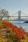 USA-New York-Tarrytown Hudson River Art Print